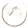 icon-1-1-n